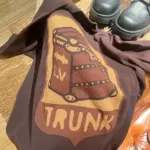 1V 24SS Nigo合作系列 秀款硬箱行李箱寶箱花朵 針織短袖T恤 菲董