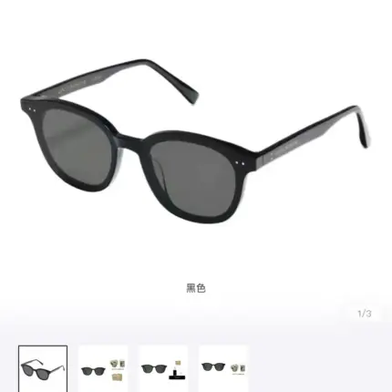 【現貨】【過驗】GENTLE MONSTER Lang 板材太陽眼鏡 墨鏡 鏡框 GM 四色