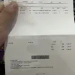 GVC x CHITO 22SS 藝術家聯名 動物圖案 印花 帽T 帽衫 連帽衛衣