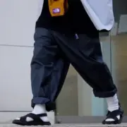 【現貨】TNF 24SS 北臉日製紫標 經典Chino長褲休閒褲錐形褲 5352/5052版型