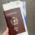 巴黎 BLC 24SS Passport 錢包長夾零錢包皮夾護照套護照夾卡套 牛皮 紅棕色