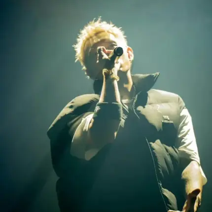 巴黎 BLC 22SS 素色簡約 雙鉤刺繡logo 3M新雪麗棉 羽絨棉背心馬甲