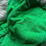 【現貨】BV家 經典提花紋路 重磅800g 超大浴巾披巾空調毯 綠色 100*160cm