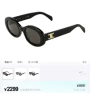 【現貨】【過驗】CELIN Triomphe 凱旋門 經典款醋酸纖維太陽眼鏡墨鏡鏡框