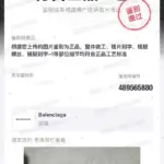 【現貨】【過驗】巴黎 BLC 22SS 飛行員 金屬板材鏡架 平光眼鏡 鏡框 BB0248O