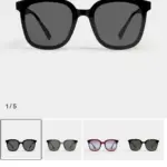 【現貨】【過驗】GENTLE MONSTER Jackie 01 板材太陽眼鏡 墨鏡 鏡框 GM