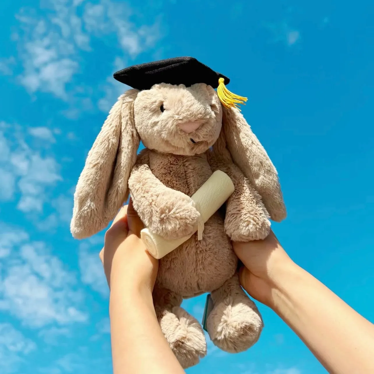 【618新品】【過驗】Jellycat 害羞系列 畢業兔 邦尼兔陪伴玩偶安撫玩偶娃娃 31cm