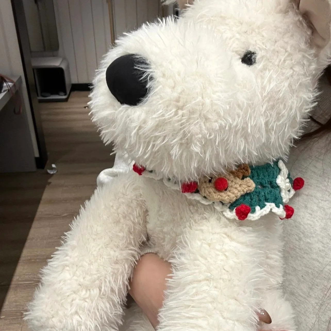 【預售】【過驗】Jellycat 狗系列 西高地梗犬 西莎狗 陪伴玩偶安撫玩偶娃娃生日禮物 42cm