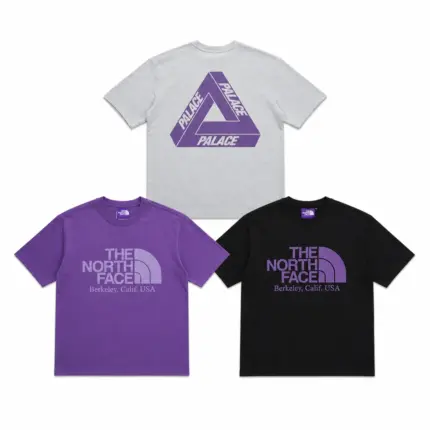 【現貨】PALACE 26SS x TNF Purple Label 聯名款 紫標高端支線 後背大印花 短袖T恤 三色