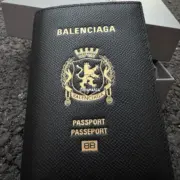 【現貨】巴黎 BLC 24SS Passport 無機票版本 護照套護照夾 牛皮 卡套皮夾證件套錢包：圖片 8