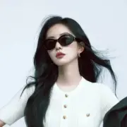 【現貨】【過驗】CELIN Triomphe 凱旋門 經典款醋酸纖維太陽眼鏡墨鏡鏡框：圖片 5