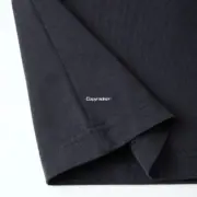 【現貨】巴黎 BLC 25SS 胸口刺繡小logo 袖章徽章 水洗 短袖T恤 黑色：圖片 14