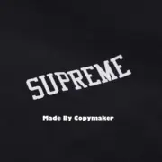 18SS SUP x CHAMPION Track Jacket 聯名 教練夾克 外套 風衣：圖片 13