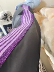 Needles 22SS Butterfly Regular Track Pants 蝴蝶刺繡 復古織帶 休閒褲直筒褲運動褲 黑紫：圖片 6