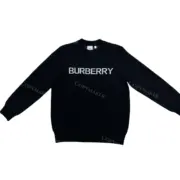 BR 22FW 經典logo印花  羊毛混紡 毛衣大學T圓領衛衣長袖：圖片 5