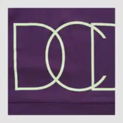 【預售】DESCENTDANT 25SS PORT SWITCHING 背後大字母 拼接 短袖T恤 三色 DCDT：圖片 18