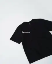 Carhartt WIP x INVINCIBLE 23SS 卡哈特 聯名 素色簡約口袋 短袖T恤 四色：圖片 13
