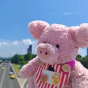 【預售】【過驗】Jellycat 農家動物系列 巴納布斯豬粉紅豬小豬 安撫玩偶娃娃 41cm：圖片 3