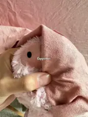 【預售】【過驗】Jellycat 農家動物系列 巴納布斯豬粉紅豬小豬 安撫玩偶娃娃 41cm：圖片 5