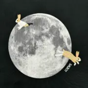 【現貨】【全套包裝】LOWE x Suna Fujita 25SS 聯名 兔子月兔滿月刺繡 短袖T恤 黑色：圖片 11