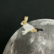 【現貨】【全套包裝】LOWE x Suna Fujita 25SS 聯名 兔子月兔滿月刺繡 短袖T恤 黑色：圖片 12