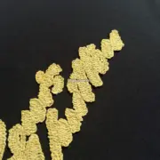 【現貨】1V 25SS 毛巾繡logo字母 背面小logo 短袖T恤 黑/白：圖片 15