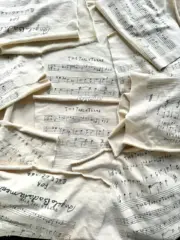 【現貨】【過驗】巴黎 BLC 24FW 音符五線譜 水洗做舊 破壞 圓領衛衣大學T長袖：圖片 9