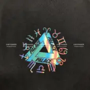 PALACE 17SS Zodigac T-Shirt 十二星座印花 大三角 短袖T恤：圖片 5