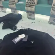 PRA 24FW 經典徽章logo 羊毛混紡 素色簡約 針織毛衣圓領衛衣大學T長袖：圖片 4