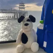 【預售】【過驗】Jellycat 害羞系列 黑白色小狗 安撫玩偶娃娃 31cm：圖片 4