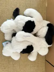 【預售】【過驗】Jellycat 害羞系列 黑白色小狗 安撫玩偶娃娃 31cm：圖片 7