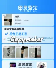 【現貨】【過驗】M1U M1U 24SS 繆繆 平光眼鏡板材鏡框 MU06XVF：圖片 5