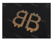 【現貨】巴黎 BLC 23SS 雙B 比特幣 泥染水洗作舊破壞 帽T連帽衛衣帽衫：圖片 8