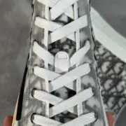 【預售】D1OR B23 oblique 經典老花 科技面料 高筒帆布鞋 休閒鞋 板鞋：圖片 19