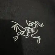 【現貨】【免運】【福利回饋】ARC'TERYX 25SS CAPTIVE 經典刺繡logo 始祖鳥 T恤短袖：圖片 4
