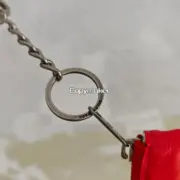 【現貨】【過驗】巴黎 BLC 25SS 秀款 薯片包手機包零錢包卡包小包 頭層牛皮：圖片 19