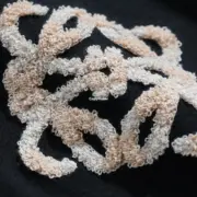 LOWE 24SS Anagram T-shirt 經典幾何logo毛巾刺繡印花 短袖T恤：圖片 12