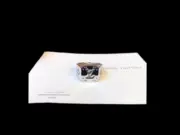 1V Monogram Logo 老花字母 印章戒指 方型 男款 銀色：圖片 8