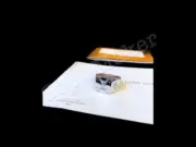 1V Monogram Logo 老花字母 印章戒指 方型 男款 銀色：圖片 9