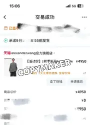 Alexander Wang 24FW 發泡閃粉印花 簡約圓領長袖T恤 水洗花崗岩色：圖片 10