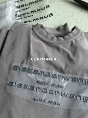 Alexander Wang 24FW 發泡閃粉印花 簡約圓領長袖T恤 水洗花崗岩色：圖片 14