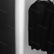 Homme Plisse lssey Mivake 23SS 三宅一生 經典 褶皺 西裝外套夾克：圖片 6