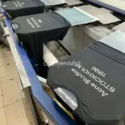 【現貨】Acne Studios 24FW 水洗做舊經典logo 素面簡約 圓領純棉長袖T恤：圖片 6