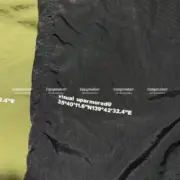 WTAPS 22SS ACADEMY 尼龍 速乾 抽繩 休閒褲 沙灘褲 運動褲 短褲：圖片 7