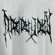 巴黎 BLC 24FW 歌德字母開裂印花 水洗破壞 長袖T恤衛衣大學T 冷白色：圖片 10