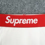 Sup x Hanes 22SS 聯名 Boxer Briefs 字母 內褲 內搭褲：圖片 35