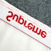 Sup x Hanes 22SS 聯名 Boxer Briefs 字母 內褲 內搭褲：圖片 38