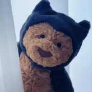 【預售】【過驗】Jellycat 萬聖節系列 巴塞羅那熊蝙蝠 安撫玩偶娃娃 坐高26cm：圖片 4