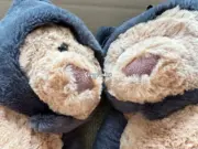 【預售】【過驗】Jellycat 萬聖節系列 巴塞羅那熊蝙蝠 安撫玩偶娃娃 坐高26cm：圖片 6