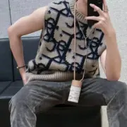 D1OR 22FW 老花 滿版 字母 羊毛背心 馬甲 CD：圖片 5